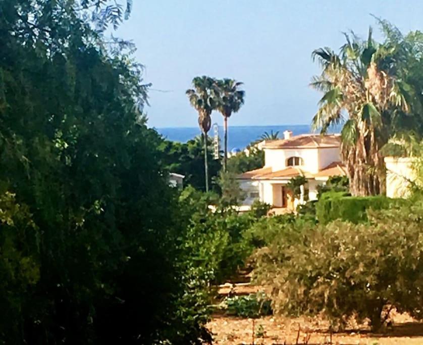 Casa Anemone *